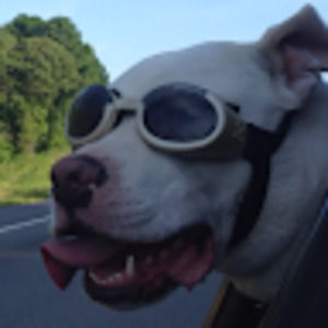 Meet your Posher, Rob